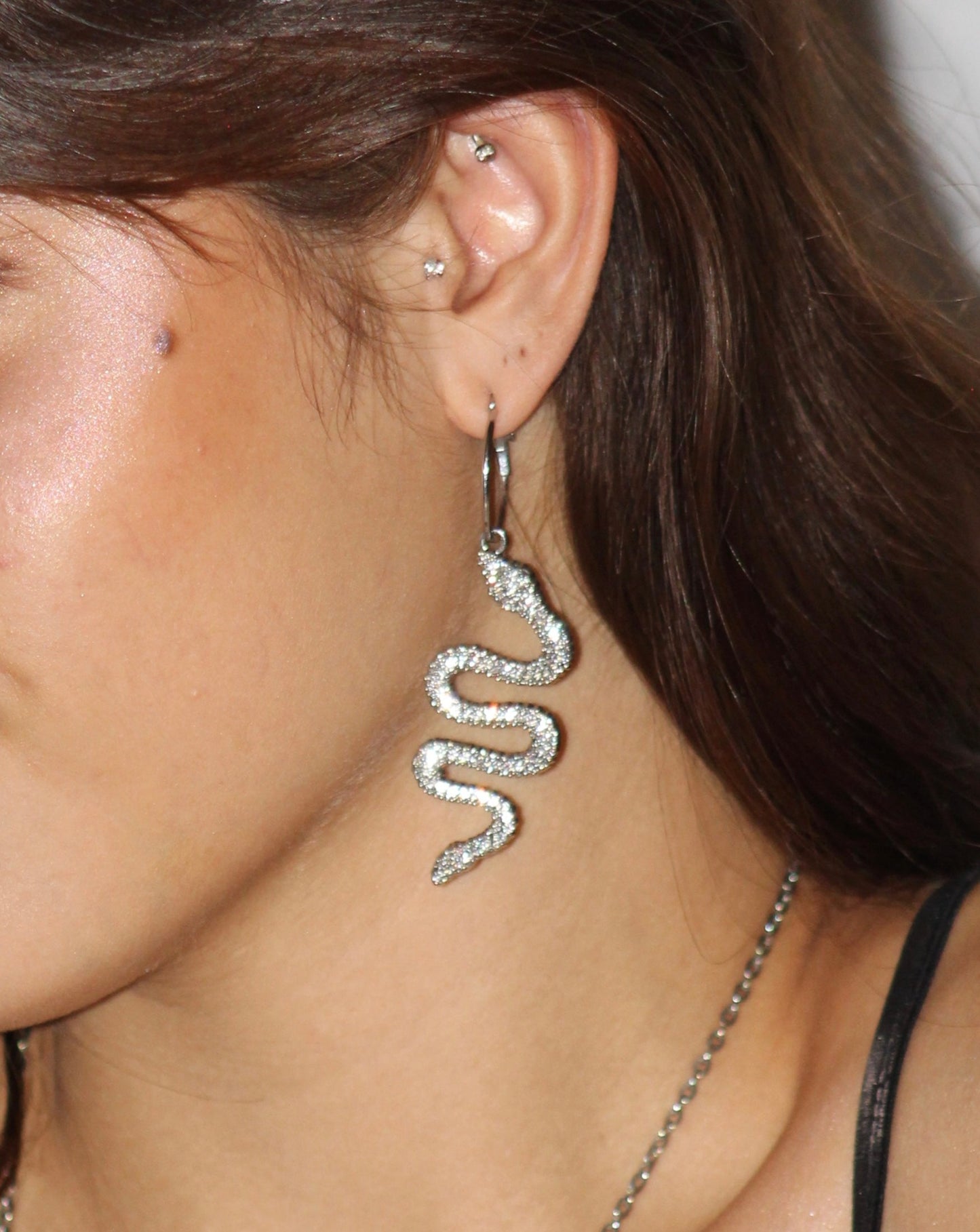 Aretes serpiente Plateada LE-16